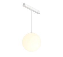 Трековый подвесной светодиодный светильник Maytoni Technical Exility Luna TR039-2-5W3K-W