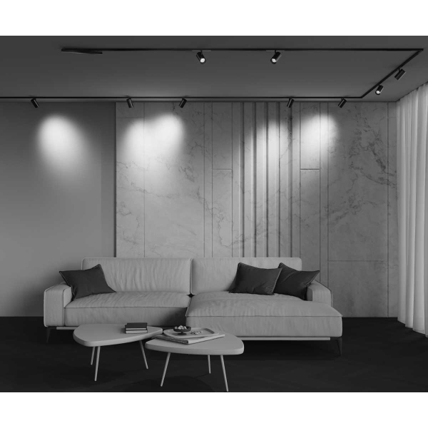 Трековый светильник Maytoni Technical EXILITY X Focus Led TR243-12W4K-B