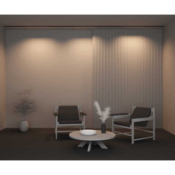 Трековый светильник Maytoni Technical TR174-1-24WTW-M-B