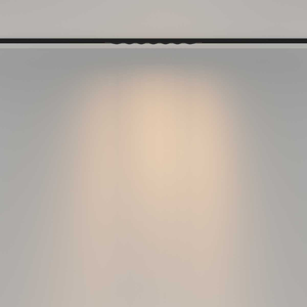 Трековый светильник Maytoni Technical TR175-1-12WTW-M-B