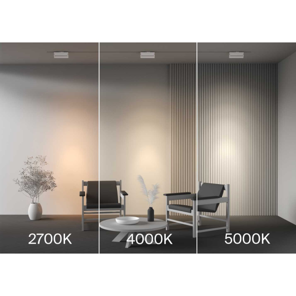 Трековый светильник Maytoni Technical TR224-1-12WCCT-M-W