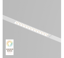 Трековый светодиодный светильник Denkirs DK8001-WH