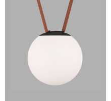 Трековый светильник Denkirs BELTY ORB DK5552-BK