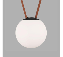 Трековый светильник Denkirs BELTY ORB DK5552-BK