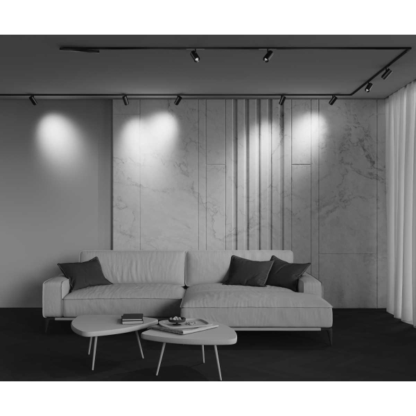 Трековый светильник Maytoni Technical EXILITY X Focus Zoom TR244-4-12WTW-DD2-B