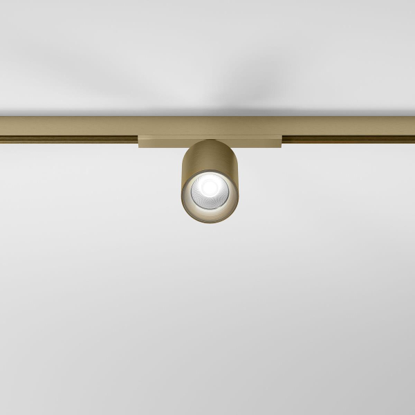 Трековый светильник Elektrostandard Brass Line a071846