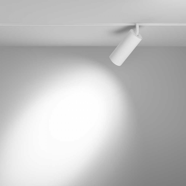 Трековый светодиодный светильник Maytoni Technical Focus LED TR032-2-20W3K-S-W Трековый светодиодный светильник Maytoni Technical Focus LED TR032-2-20W3K-S-W
