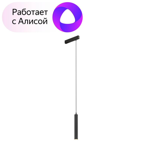 Трековый светодиодный светильник Denkirs DK8008-BK Трековый светодиодный светильник Denkirs DK8008-BK