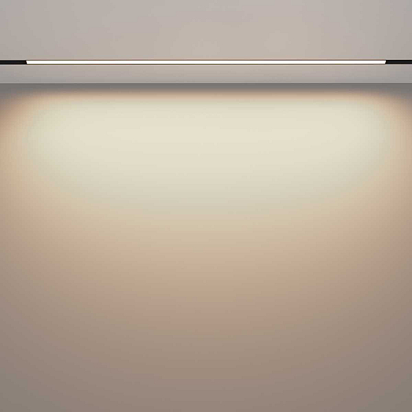 Трековый светильник Voltega Эксилайт / Exilight VGL030-2-30W3K-B