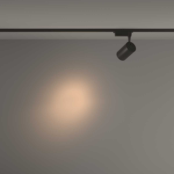 Трековый светильник Maytoni Technical TR003-1-26W3K-S-B