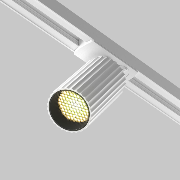 Трековый светильник Maytoni Technical Unity Calipso TR218-1-GU10-W Трековый светильник Maytoni Technical Unity Calipso TR218-1-GU10-W