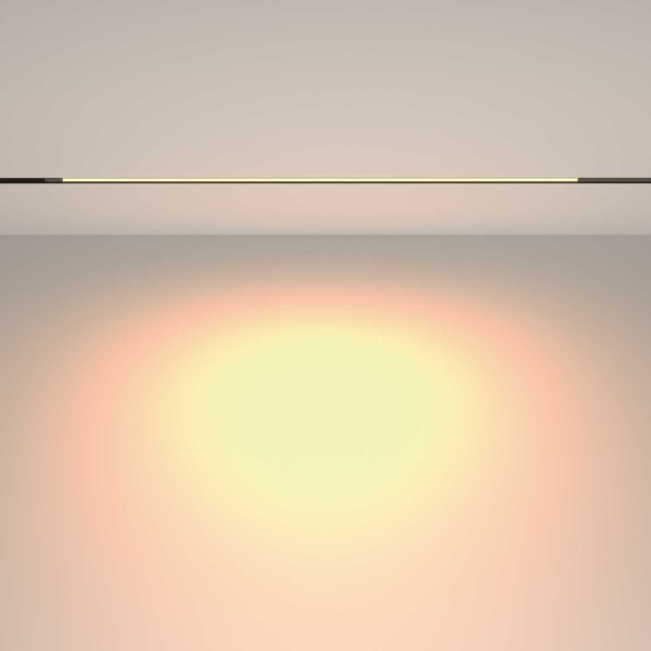 Трековый светильник Maytoni Technical EXILITY Basis TR231-2-15W3K-B