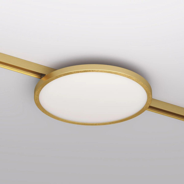 Трековый светодиодный светильник Denkirs Shine Flow DK5763-SB Трековый светодиодный светильник Denkirs Shine Flow DK5763-SB