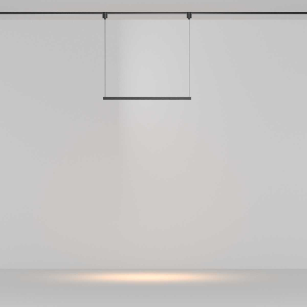 Трековый подвесной светильник Maytoni Technical TR169-1-26W3K-M-B