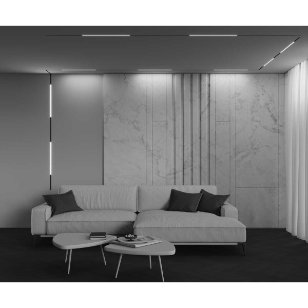 Трековый светильник Maytoni Technical EXILITY X Basis TR240-2-12W3K-B