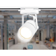 Трековый светильник Ambrella light Track System GL5101