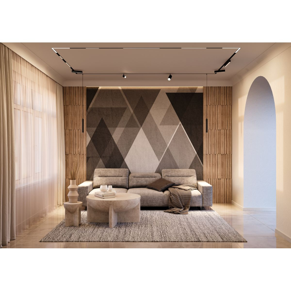 Трековый светодиодный светильник Denkirs DK8008-BK