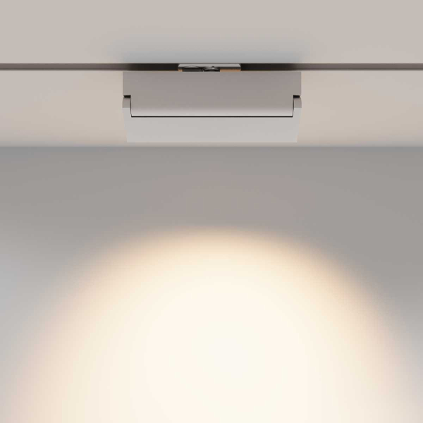 Трековый светильник Maytoni Technical TR223-1-12WCCT-W-W