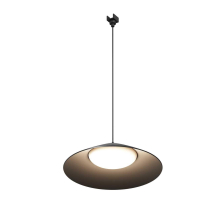 Уличный трековый светильник Maytoni Outdoor O-TR01-1-P-12WB3K