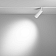 Трековый светильник Voltega Эксилайт / Exilight VGL032-2-12W3K-S-W