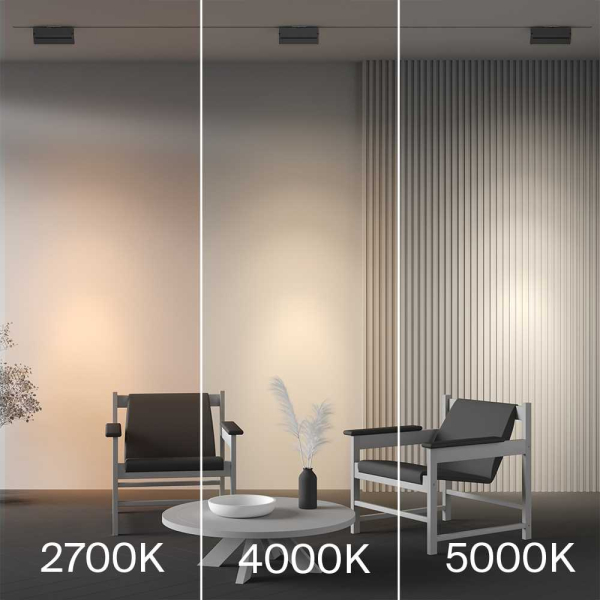 Трековый светильник Maytoni Technical TR223-1-12WCCT-W-B