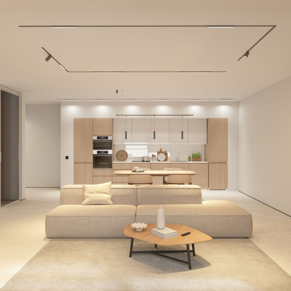 Трековый светодиодный светильник Denkirs Shine Spot Zigbee DK5944-DN