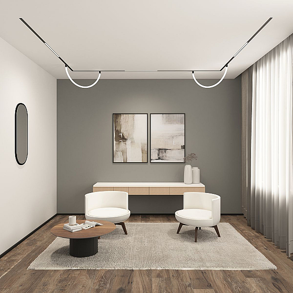 Трековый светодиодный светильник Denkirs Smart Ray DK8060-BK