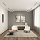 Трековый светодиодный светильник Denkirs Smart Ray DK8060-BK