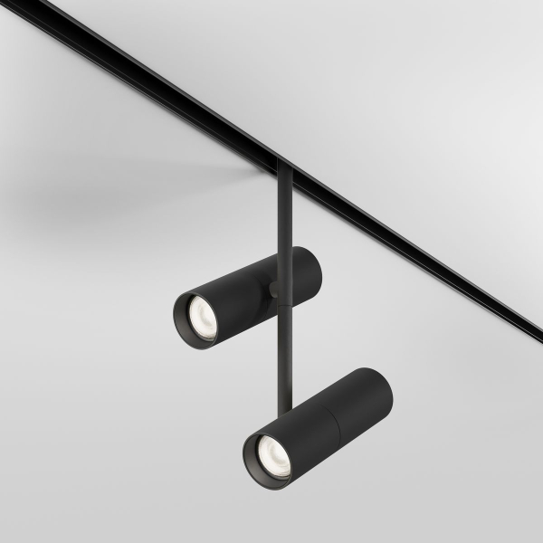 Трековый светодиодный светильник Maytoni Technical Magnetic Exility Elti Duo TR005-2-2X12W4K-B