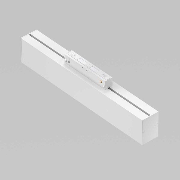 Трековый светильник Maytoni Technical TR012-2-12W3K-W