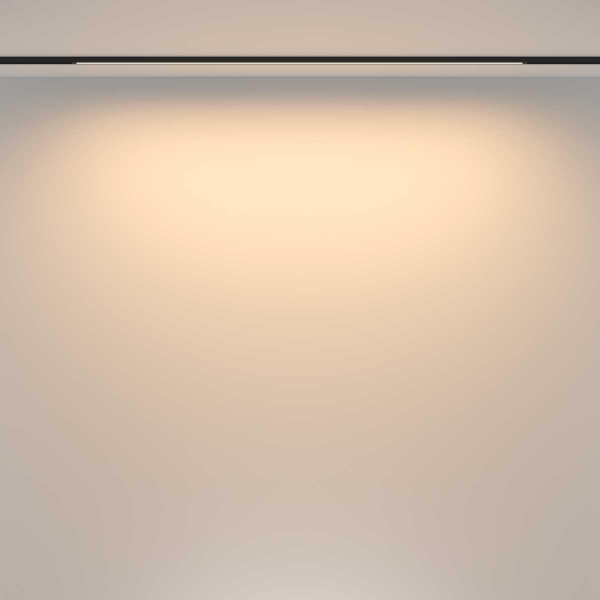 Трековый светильник Maytoni Technical TR173-1-24WTW-B Трековый светильник Maytoni Technical TR173-1-24WTW-B