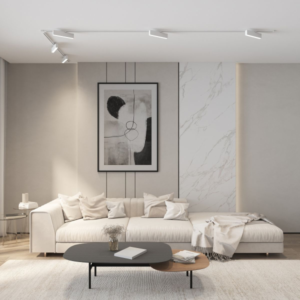 Трековый светильник Denkirs DK6440-WH