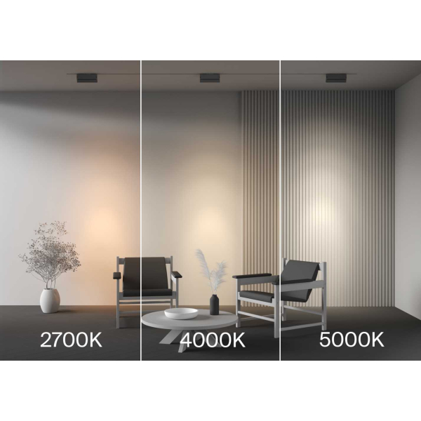 Трековый светильник Maytoni Technical TR223-1-12WCCT-W-B