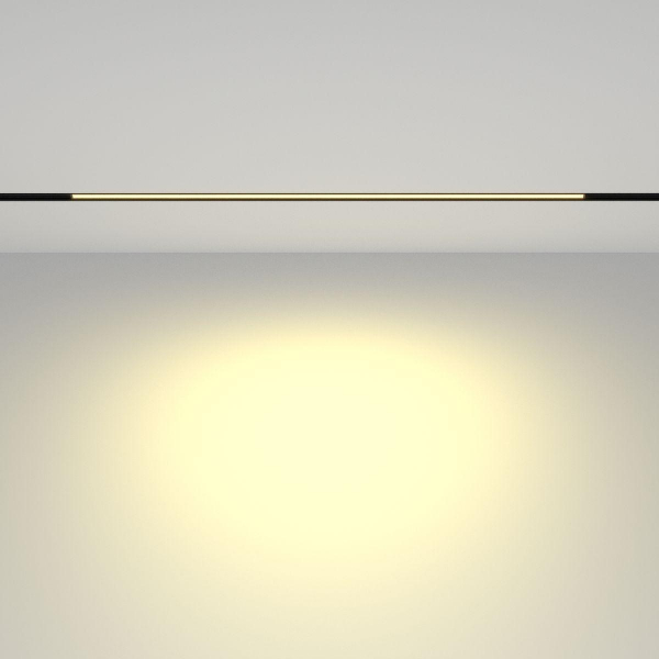 Трековый светодиодный светильник Maytoni Technical Basis TR030-2-24W2.7K-B Трековый светодиодный светильник Maytoni Technical Basis TR030-2-24W2.7K-B