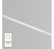 Трековый светодиодный светильник Denkirs DK8002-WH