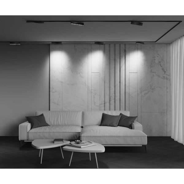 Трековый светильник Maytoni Technical EXILITY X Points Rot TR242-4-12WTW-DSZ-B