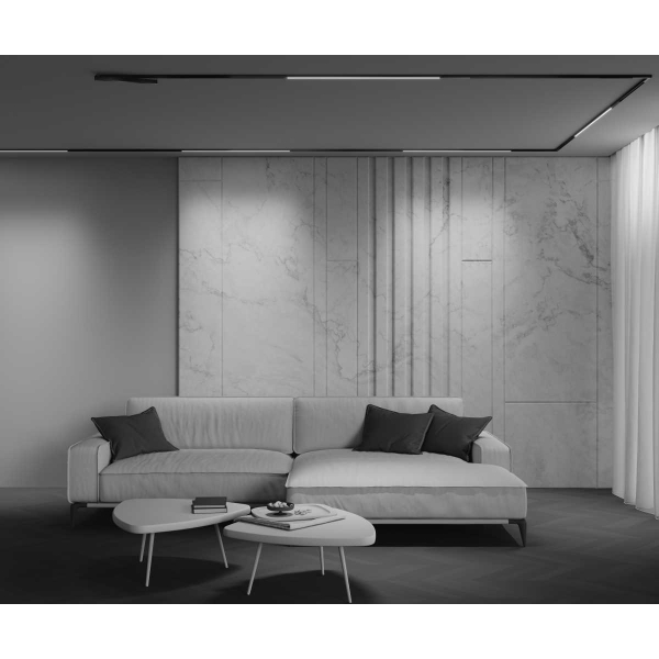 Трековый светильник Maytoni Technical EXILITY X Basis TR240-4-18WTW-DD2-B