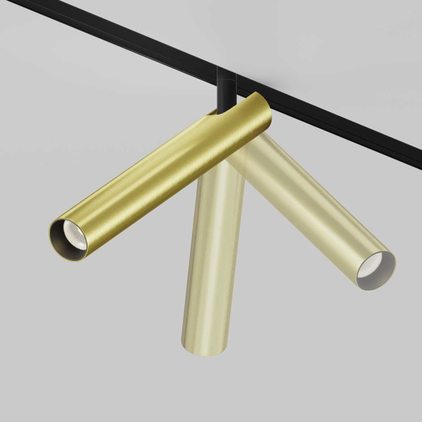 Трековый светодиодный светильник Maytoni Technical Magnetic Exility Focus T TR141-2-6W3K-M-BS