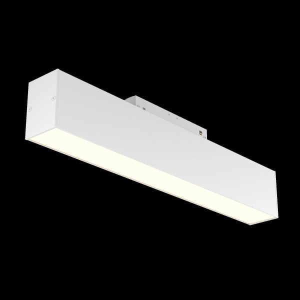 Трековый светильник Maytoni Technical TR012-2-12W3K-W
