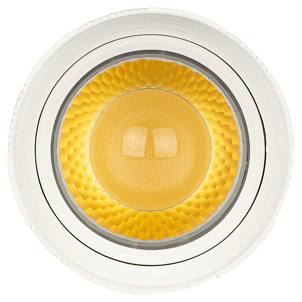 Трековый светильник однофазный ЭРА TR59-2040 WH Б0054442