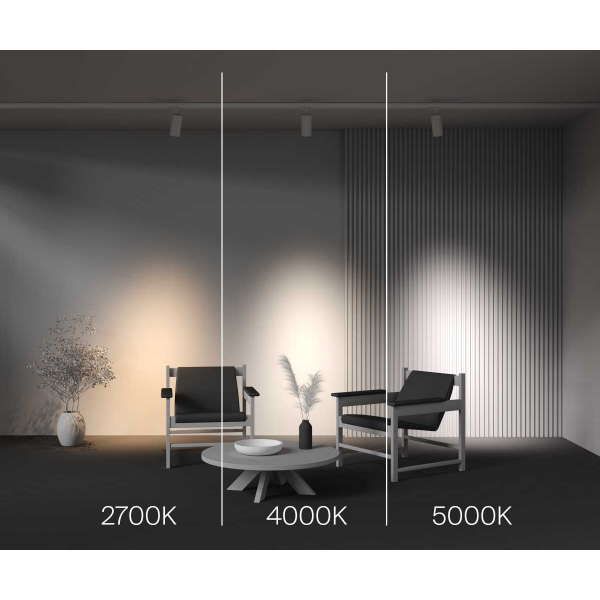 Трековый светильник Maytoni Technical TR197-3-40WCCT-M-W Трековый светильник Maytoni Technical TR197-3-40WCCT-M-W