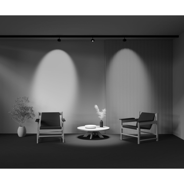 Трековый светодиодный светильник Maytoni Technical Exility Lens TR217-2-15W3K-B