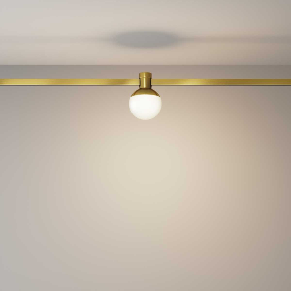 Трековый светильник Maytoni Technical TR149-1-5W3K-BS