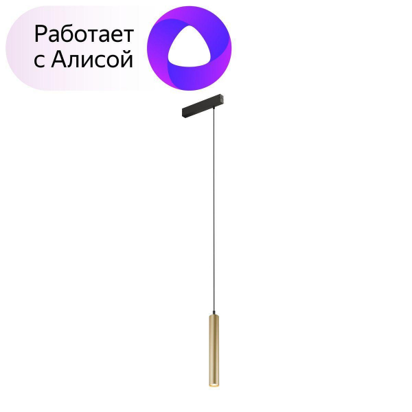Трековый светодиодный светильник Denkirs Smart Spot DK8008-BG Трековый светодиодный светильник Denkirs Smart Spot DK8008-BG
