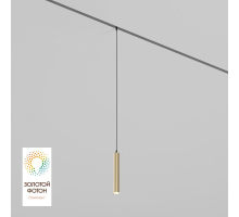 Трековый светодиодный светильник Denkirs Smart Spot DK8008-BG