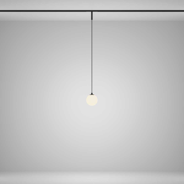 Трековый подвесной светильник Maytoni Technical TR178-1-5WTW-B