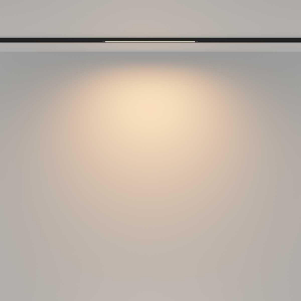 Трековый светильник Maytoni Technical TR173-1-8WTW-B