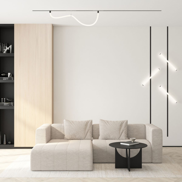 Трековый светодиодный светильник Denkirs Smart Ray DK8060-BK