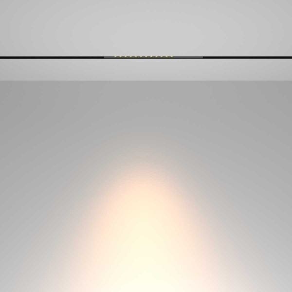 Трековый светильник Maytoni Technical TR232-2-15W3K-B