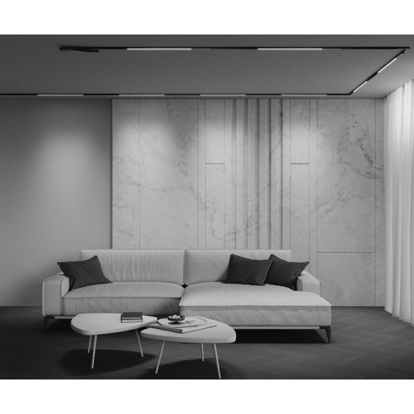 Трековый светильник Maytoni Technical EXILITY X Basis TR240-4-12WTW-DSZ-B